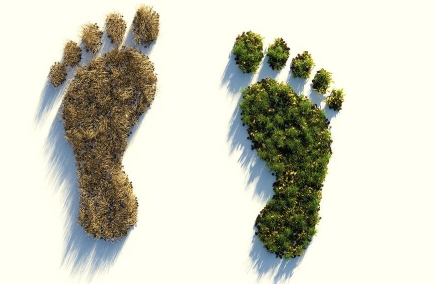 Commvault lanceert een koolstofreductiecalculator om klanten te helpen hun milieuvoetafdruk te verbeteren.