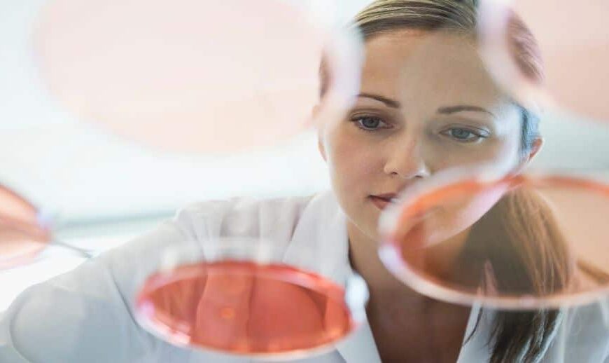 ROVI vertrouwt op Atos voor de outsourcing van haar IT-systemen