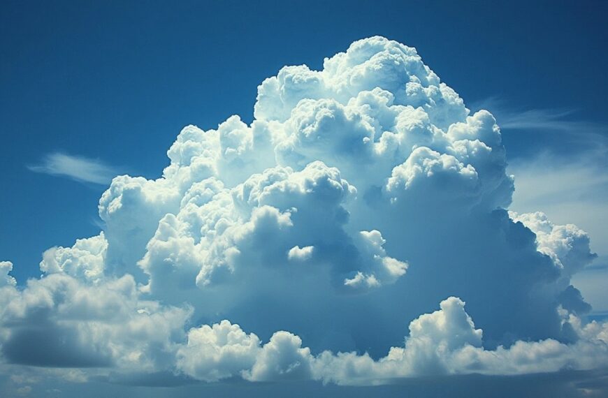 “Cloud is King”: De uitgaven aan cloudinfrastructuur zullen in 2024 met 19% groeien.