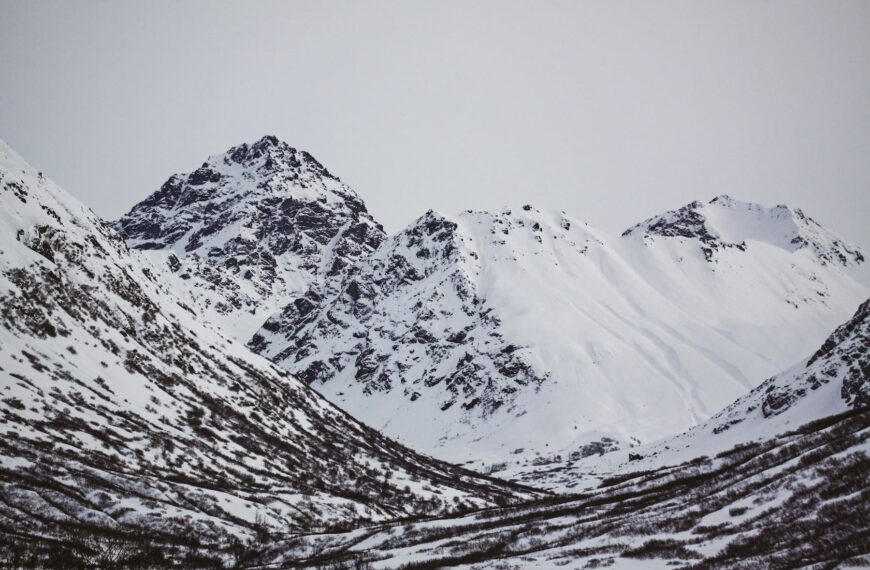 Alaska Power & Telephone verwerft een meerderheidsbelang in SEALink Networks om de connectiviteit in Alaska te versterken.