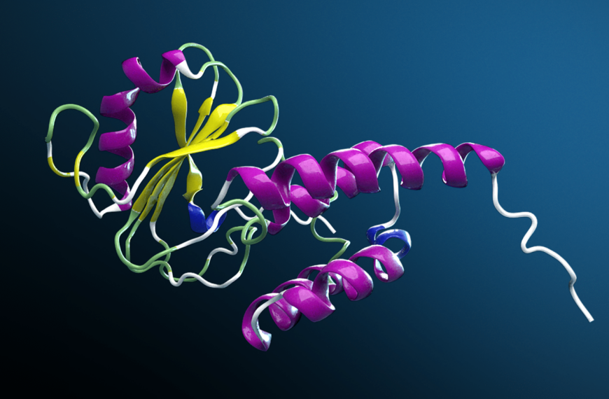 NVIDIA stimuleert digitale biologie met het open framework BioNeMo voor de wereldwijde biofarmaceutische industrie.