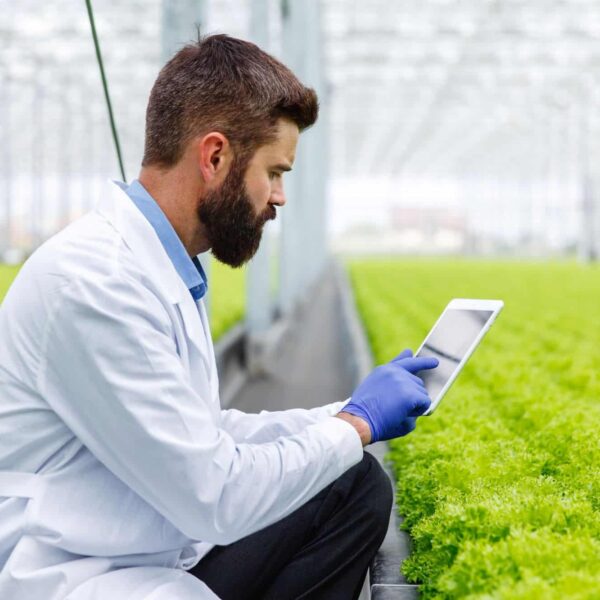 IoT: Tot 50% Minder Waterverbruik bij Landbouwirrigatie