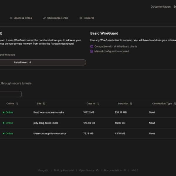 Pangolin: Een Zelfgehoste Alternatief voor Cloudflare Tunnels met Toegangscontrole