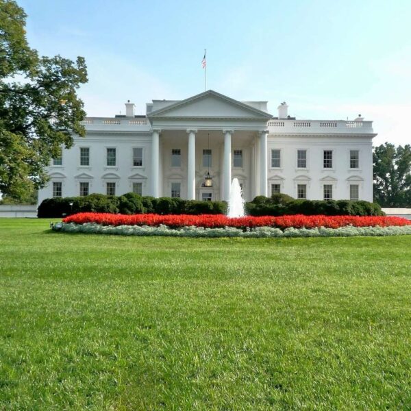 NVIDIA, AMD en Intel: Chips, Politiek en de Strijd om 15% die de Wereldorde Hervormt