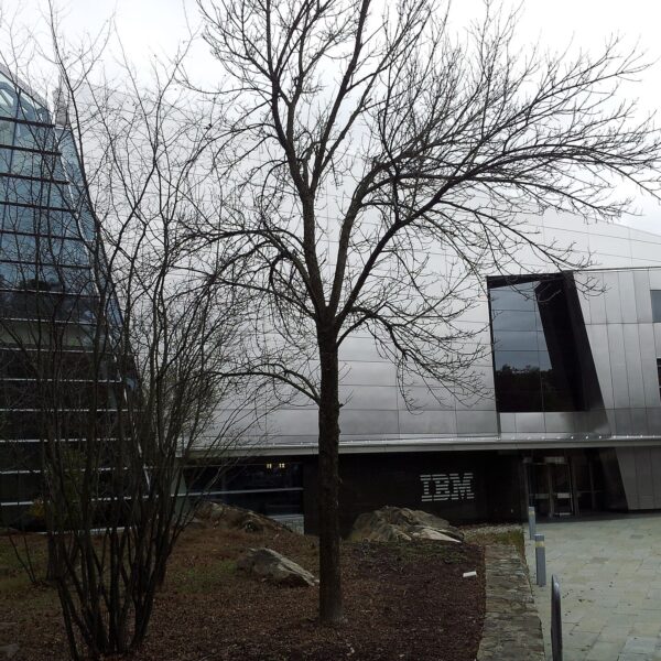 De “mainframe” straalt weer: IBM behaalt zijn beste jaar in 20 jaar met de Z-familie en stimuleert on-premise AI